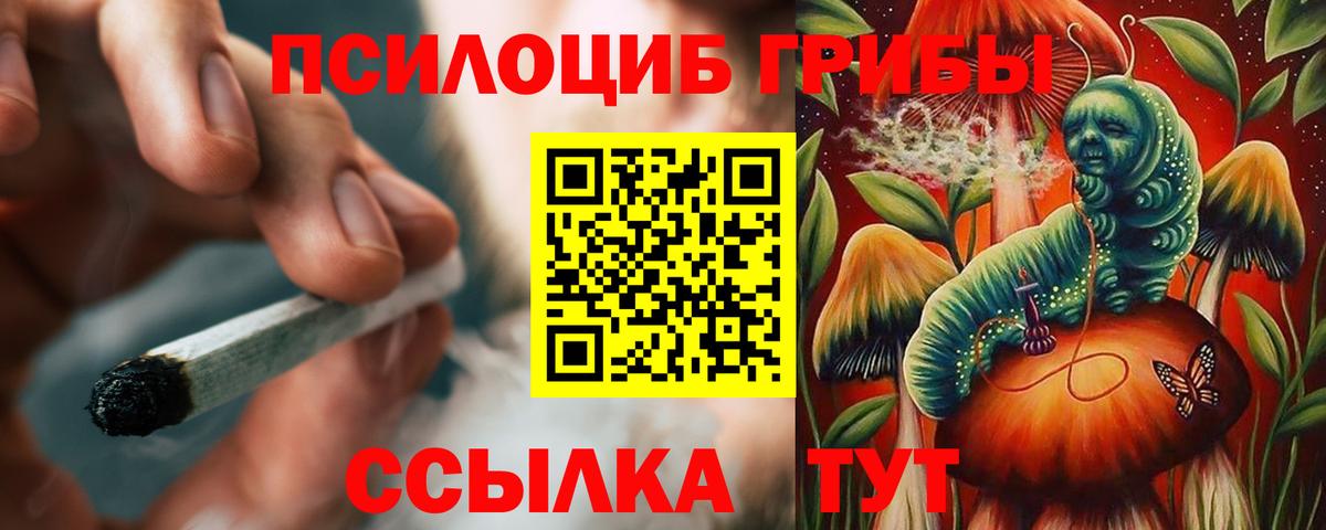 Псилоцибиновые грибы GOLDEN TEACHER  Псилоцибиновые грибы ЛСД  Вход с VPN  сколько стоит  Россошь 